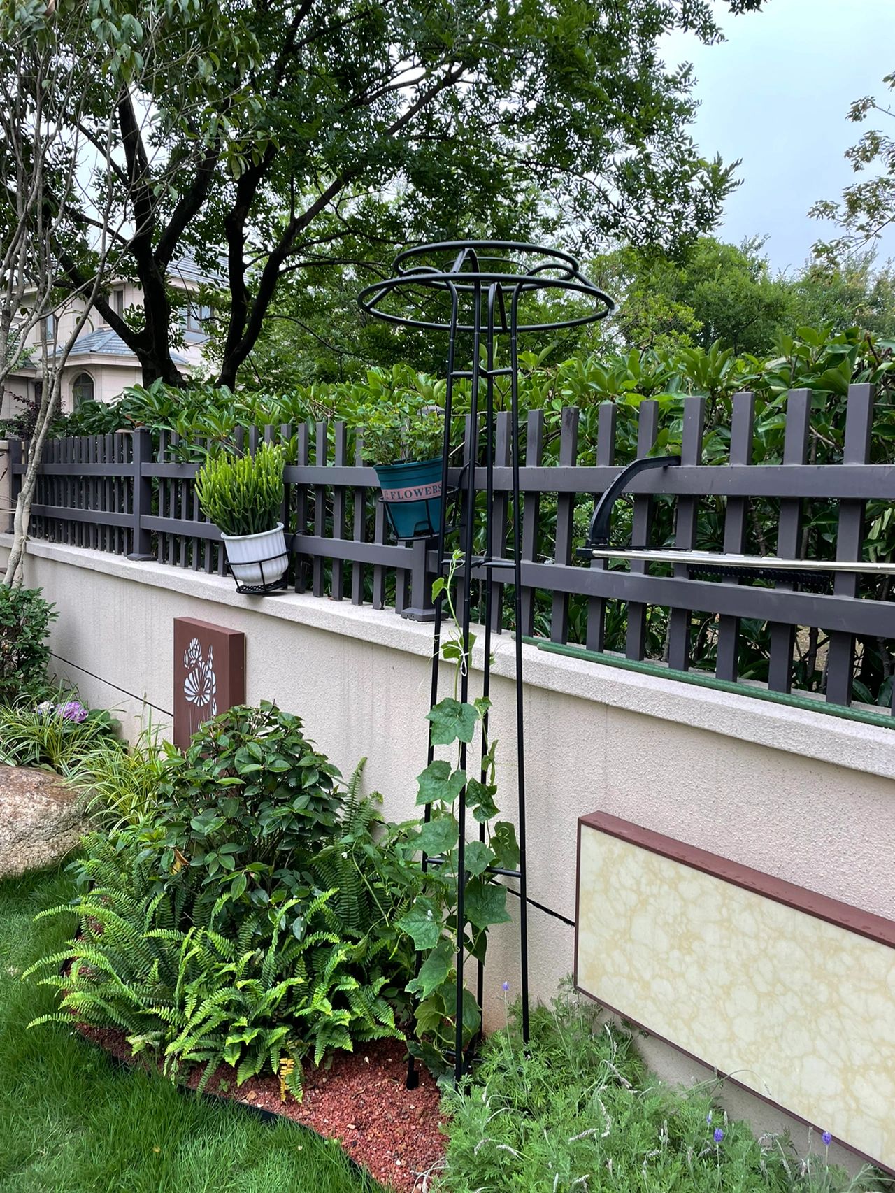 花园鲜花花卉绿植(买了一个架子，种了一棵丝瓜。)-喵神素材库