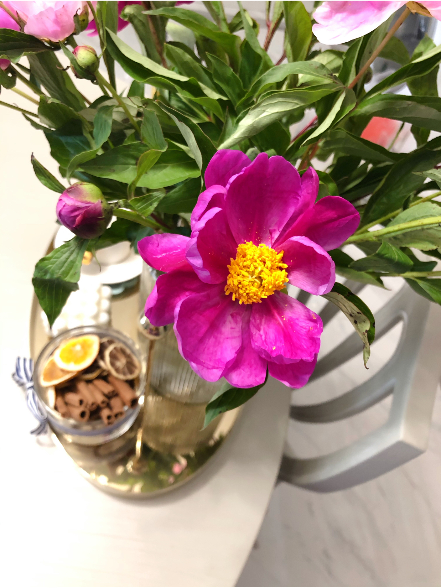 鲜花插花烛台厨房置物架(餐厅里的春天 )-喵神素材库