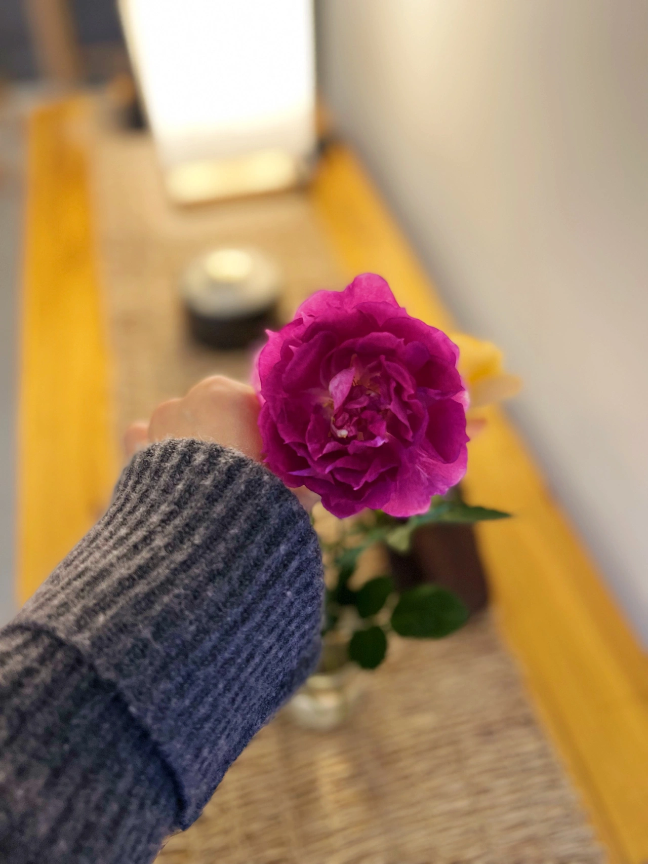 旅游美景拍照摄影美食咖啡鲜花(阳光甚好，环保出行)-喵神素材库