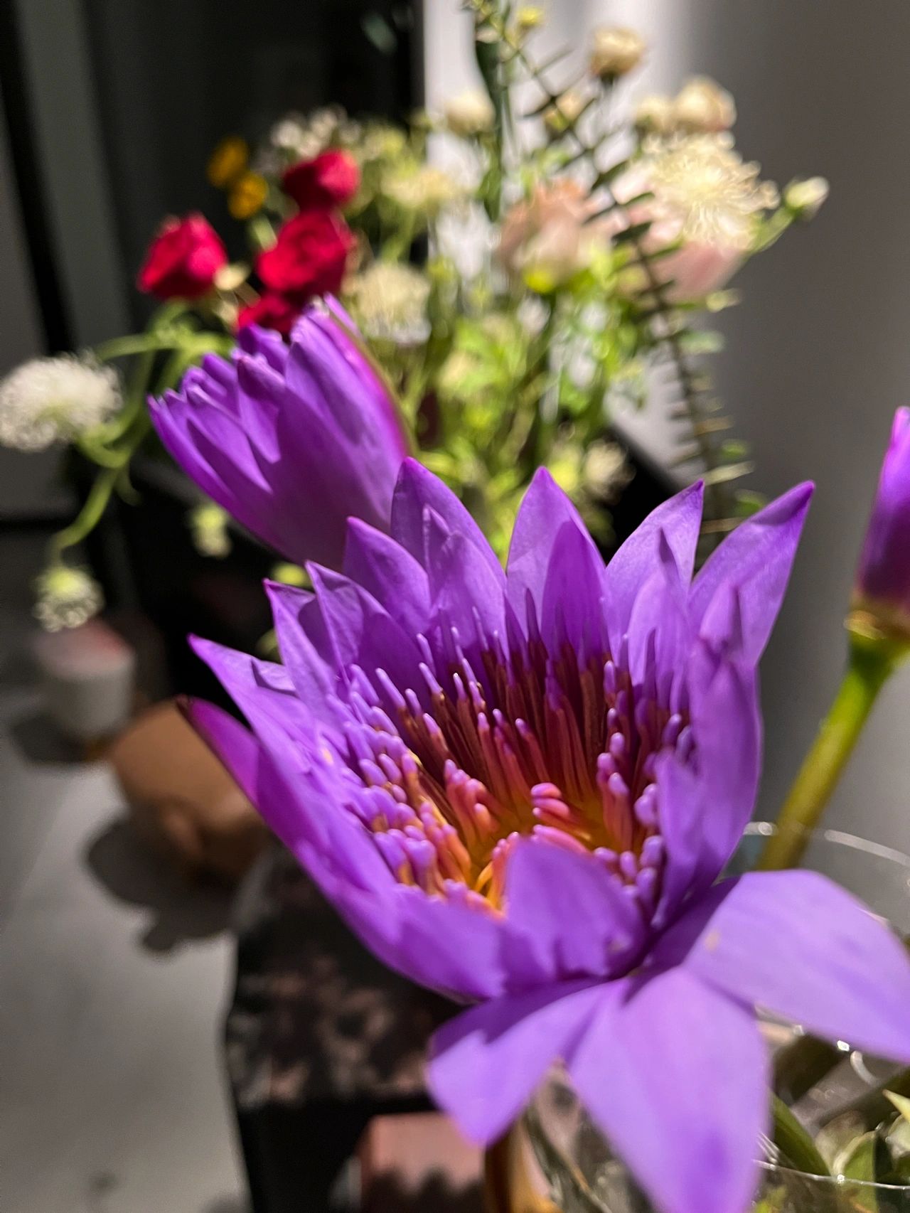 鲜花插花花艺(家里变成鲜花铺妈妈布置的鲜花美学)-喵神素材库
