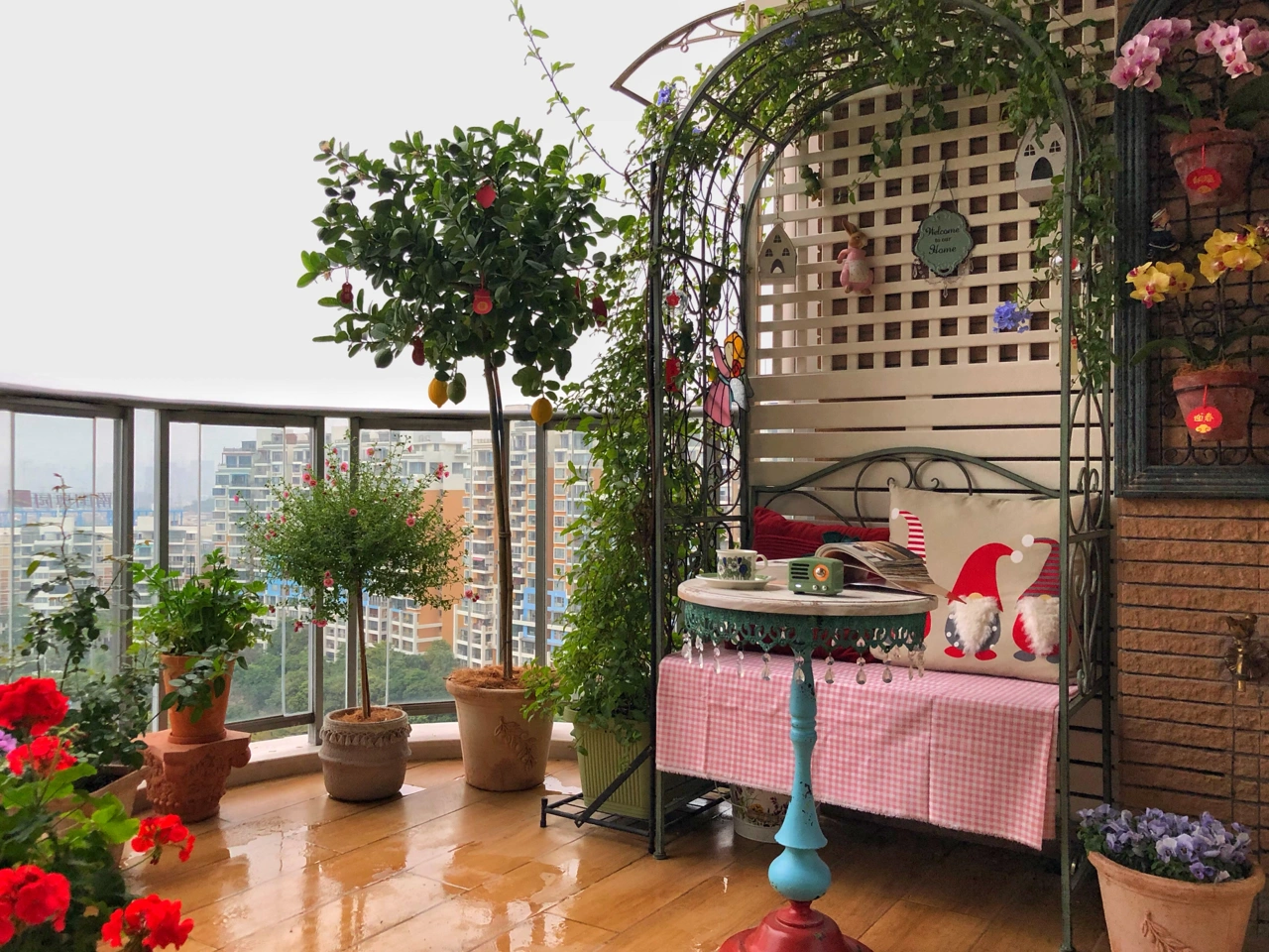 阳台鲜花绿植植物猫 (没有阳光，花儿来治愈一切。)-喵神素材库