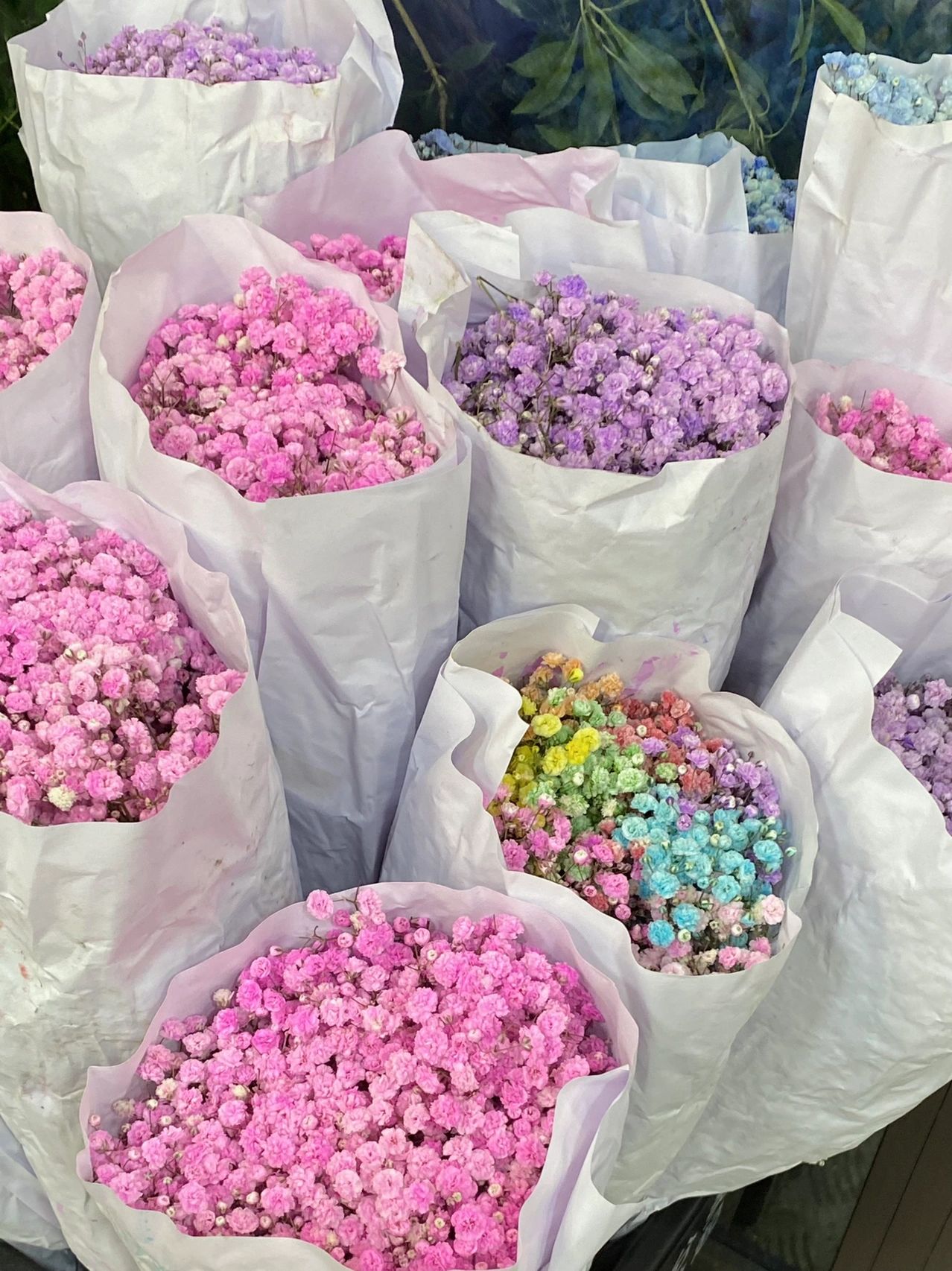 鲜花花束美食美女穿搭(我的日常 )-喵神素材库