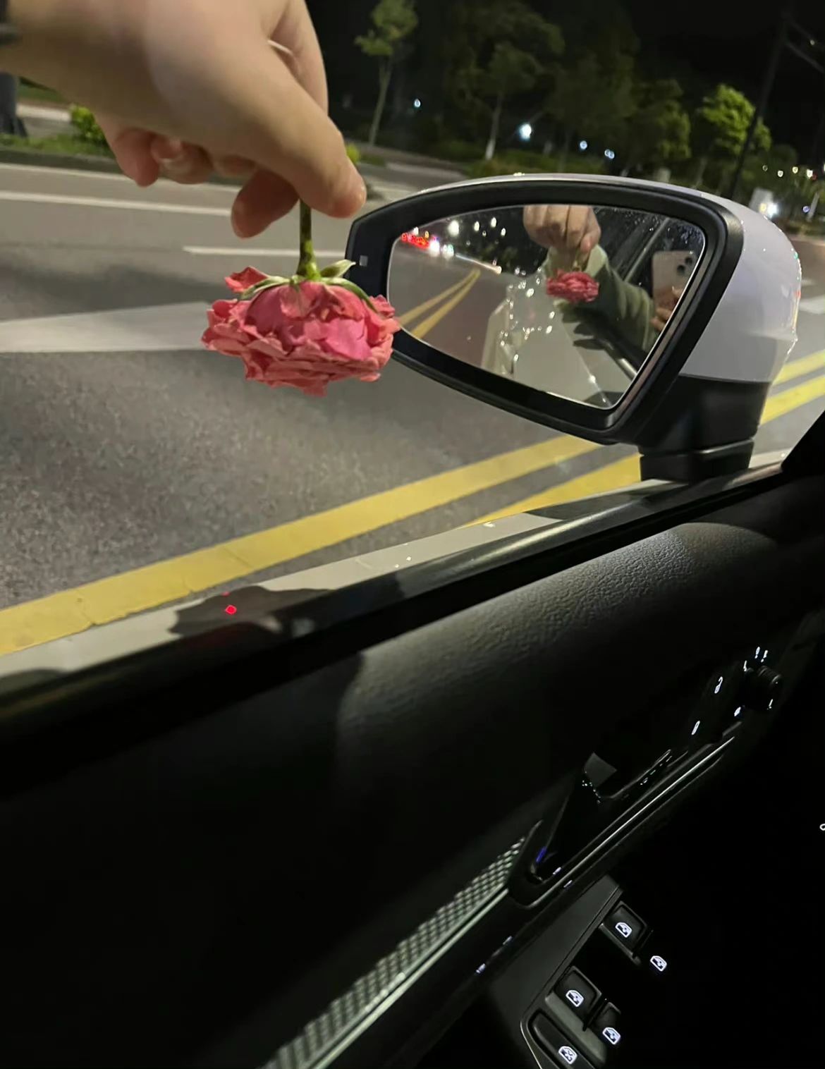 开车豪车灯光夜景拍照鲜花(可惜铁树百年一开花，乌鸦不会说情话，爱意从来东升西落，唯有孤独至死不渝” )-喵神素材库