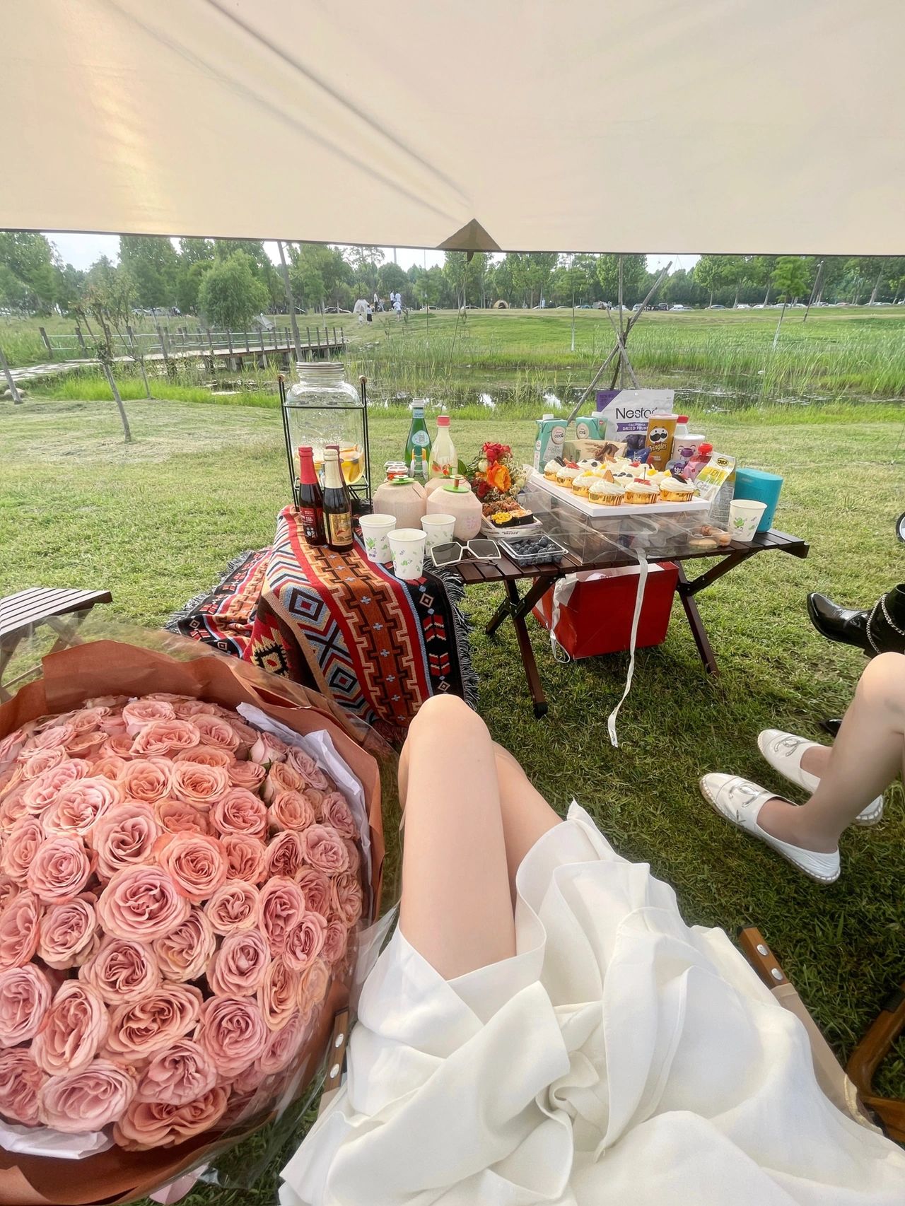 露营郊游野餐闺蜜聚会鲜花礼物(现在的年轻人怎么也想不到能在公园坐一下午吧和闺蜜露营太好玩了风都是甜甜的呢\\t)-喵神素材库