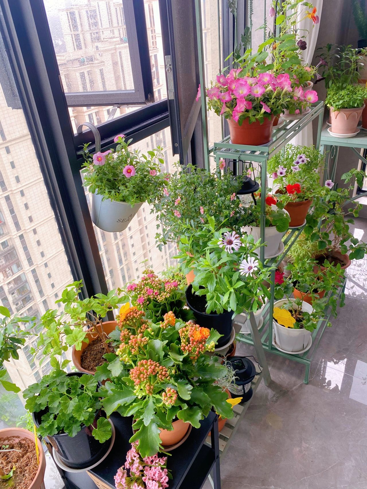 客厅阳台鲜花绿植置物架(封闭阳台花园)-喵神素材库