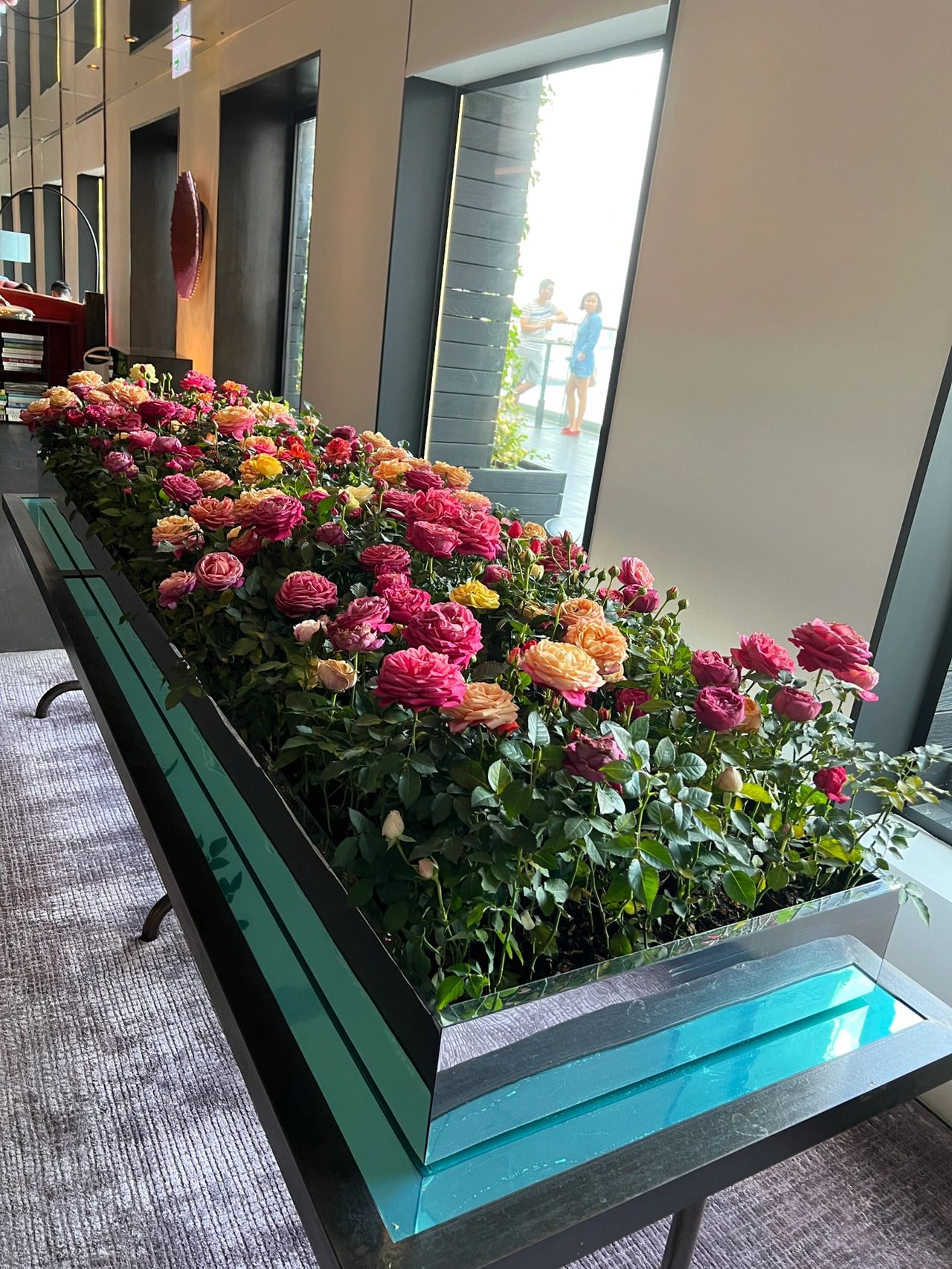 4Sevva餐厅太子店美食鲜花玫瑰花西餐美女穿搭(種植的玫瑰花真的絕了)-喵神素材库