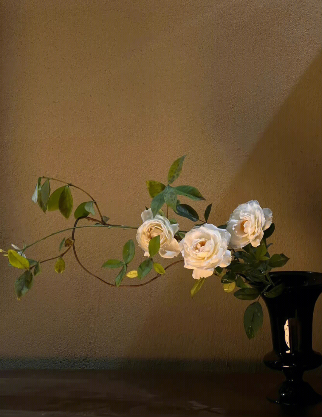 晚上灯光夜景鲜花插花花瓶(“夜晚不止是拿来睡觉的 还可以用来思考问题 反省人生 有时候它比白天还要累” ​​​ )-喵神素材库