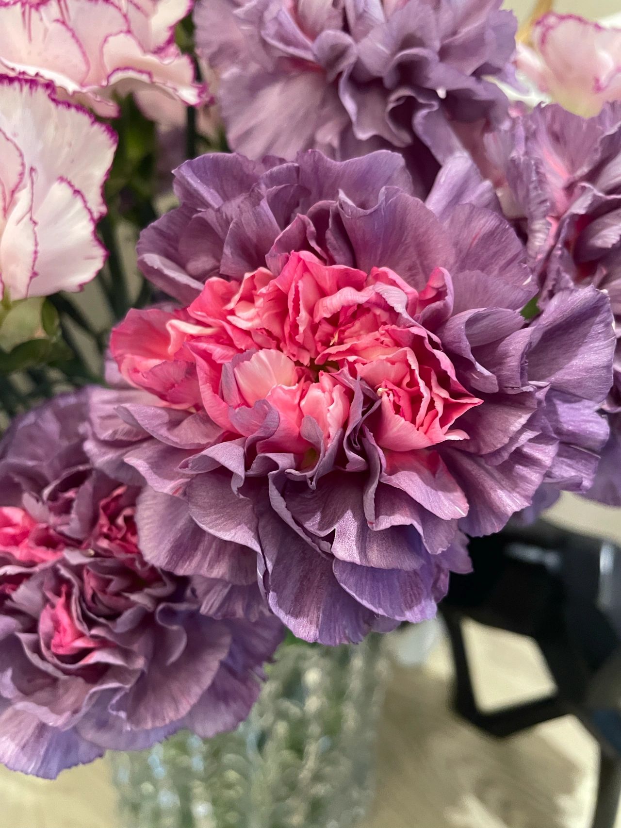 鲜花花卉插花(被紫精灵种草了好久，终于解锁了一次，真心喜欢，就是来的时候花苞偏生，手动揉搓了半天才好看起来，不错呢，待机时间长还会回购 )-喵神素材库