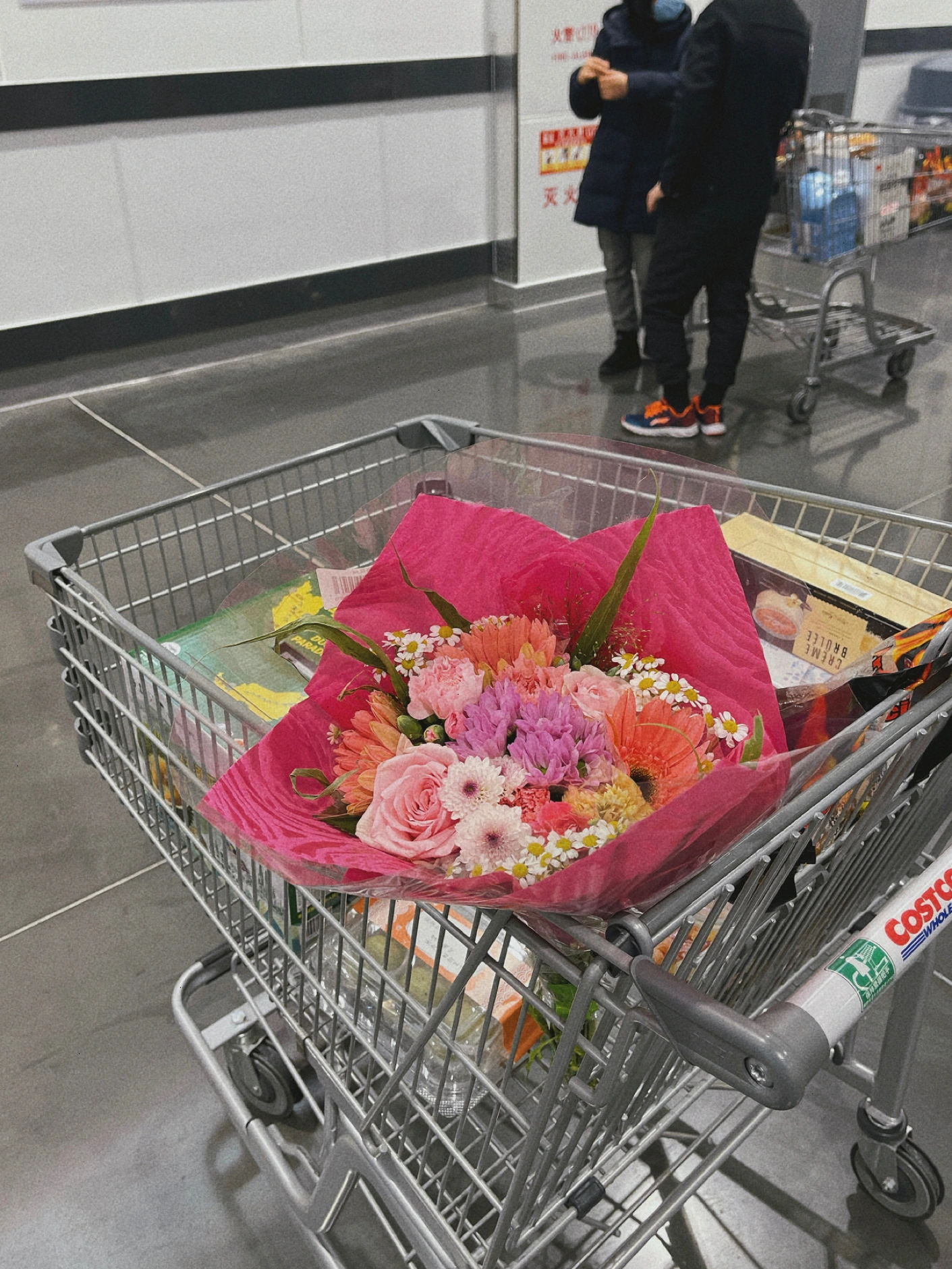 逛街购物购物车鲜花礼物(记录生活  )-喵神素材库