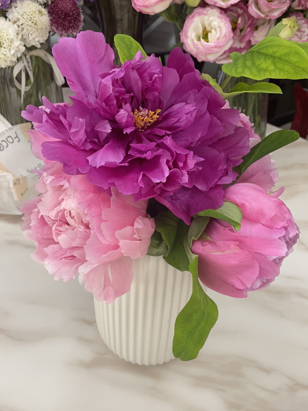 鲜花插花仪式感(人间富贵花)-喵神素材库