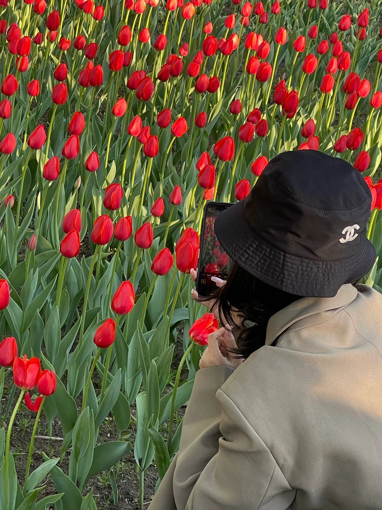 美女穿搭自拍鲜花花海(不露脸拍照  )-喵神素材库