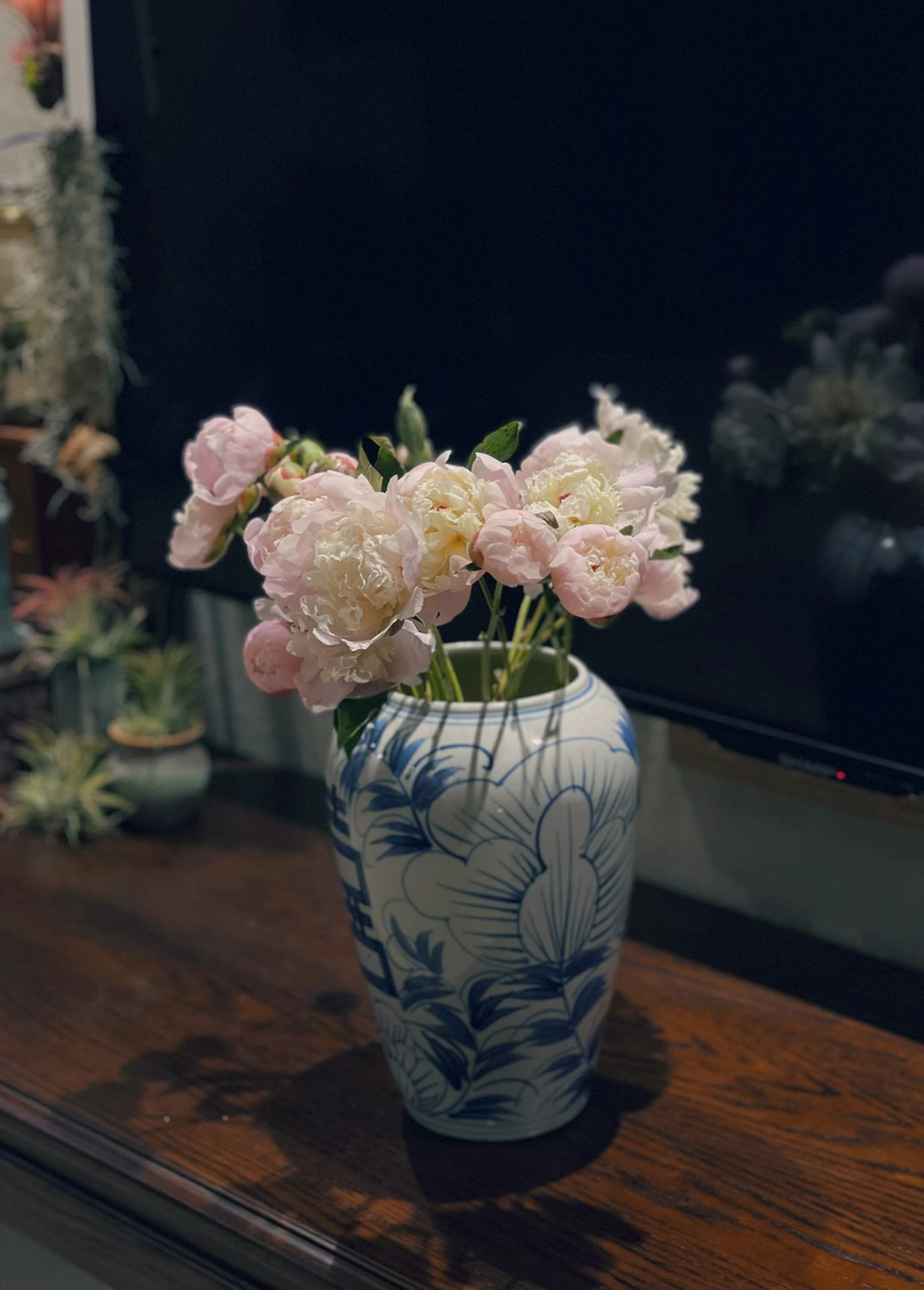 鲜花花束花瓶客厅(芍药花)-喵神素材库