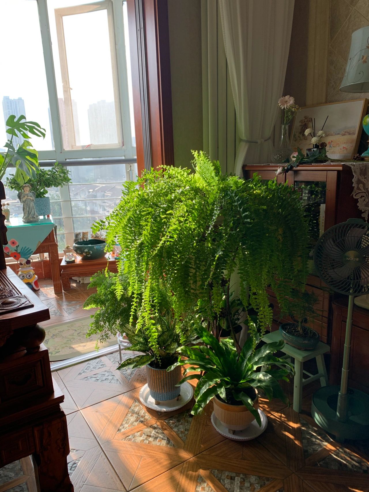 阳台鲜花绿植盆栽玩具摆件(蓬勃旺盛 )-喵神素材库