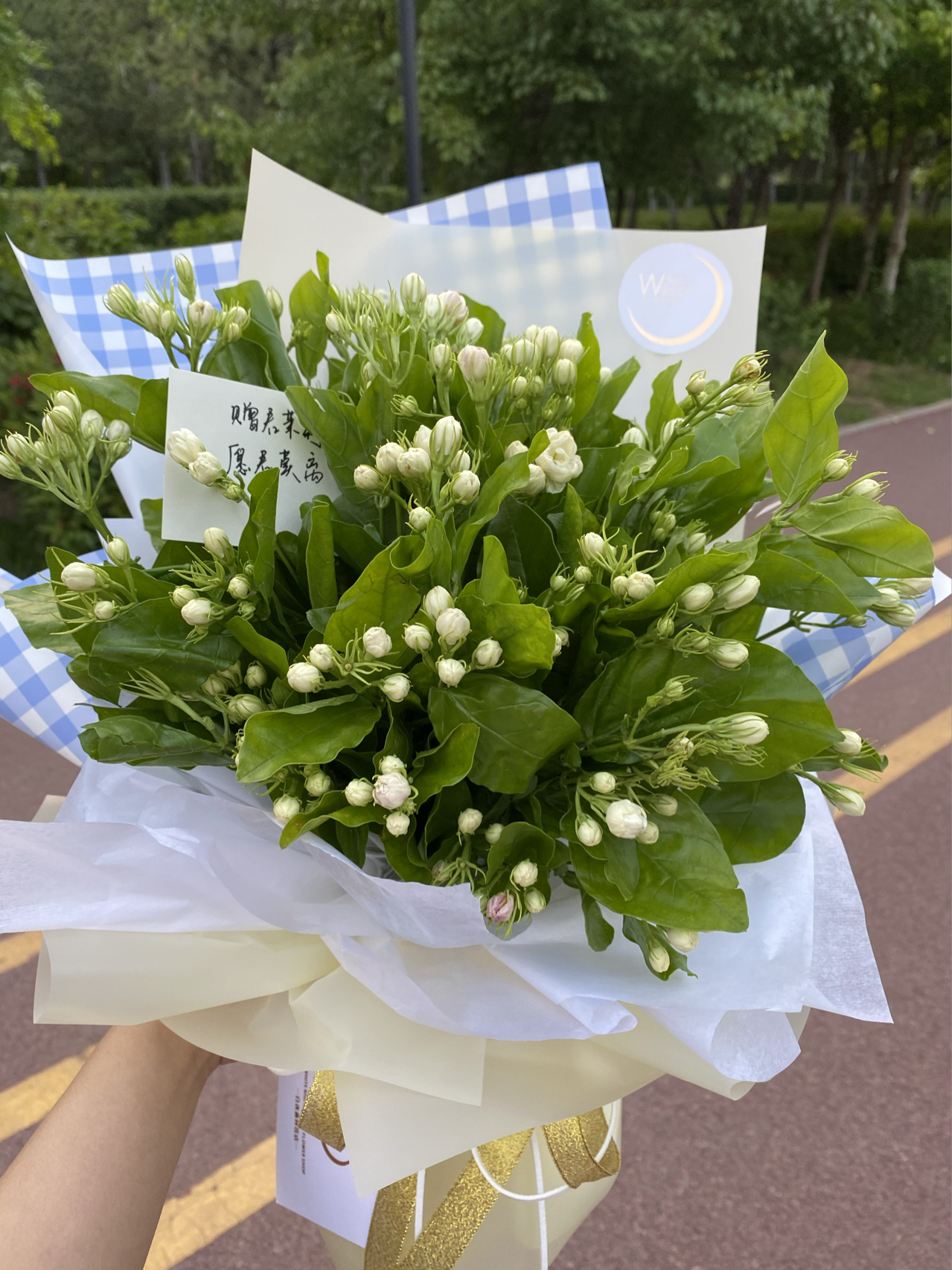 鲜花花束礼物收到礼物(赠君茉莉愿君莫离)-喵神素材库