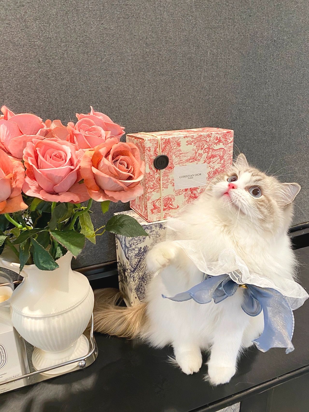 纪念日喝酒鲜花礼物(愿过忘岁月可回首，来年依旧迎花开)-喵神素材库