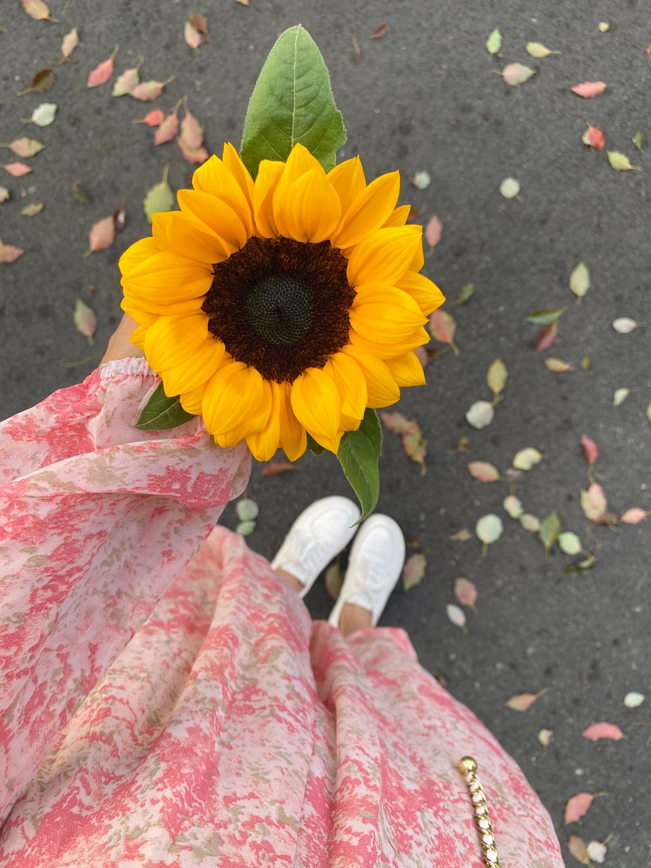 鲜花美女穿搭(葵有一个很好的花语，入目无他人，四下皆是你。有你时，你是太阳，我目不转睛。无你时，我低头，谁也不看。)-喵神素材库