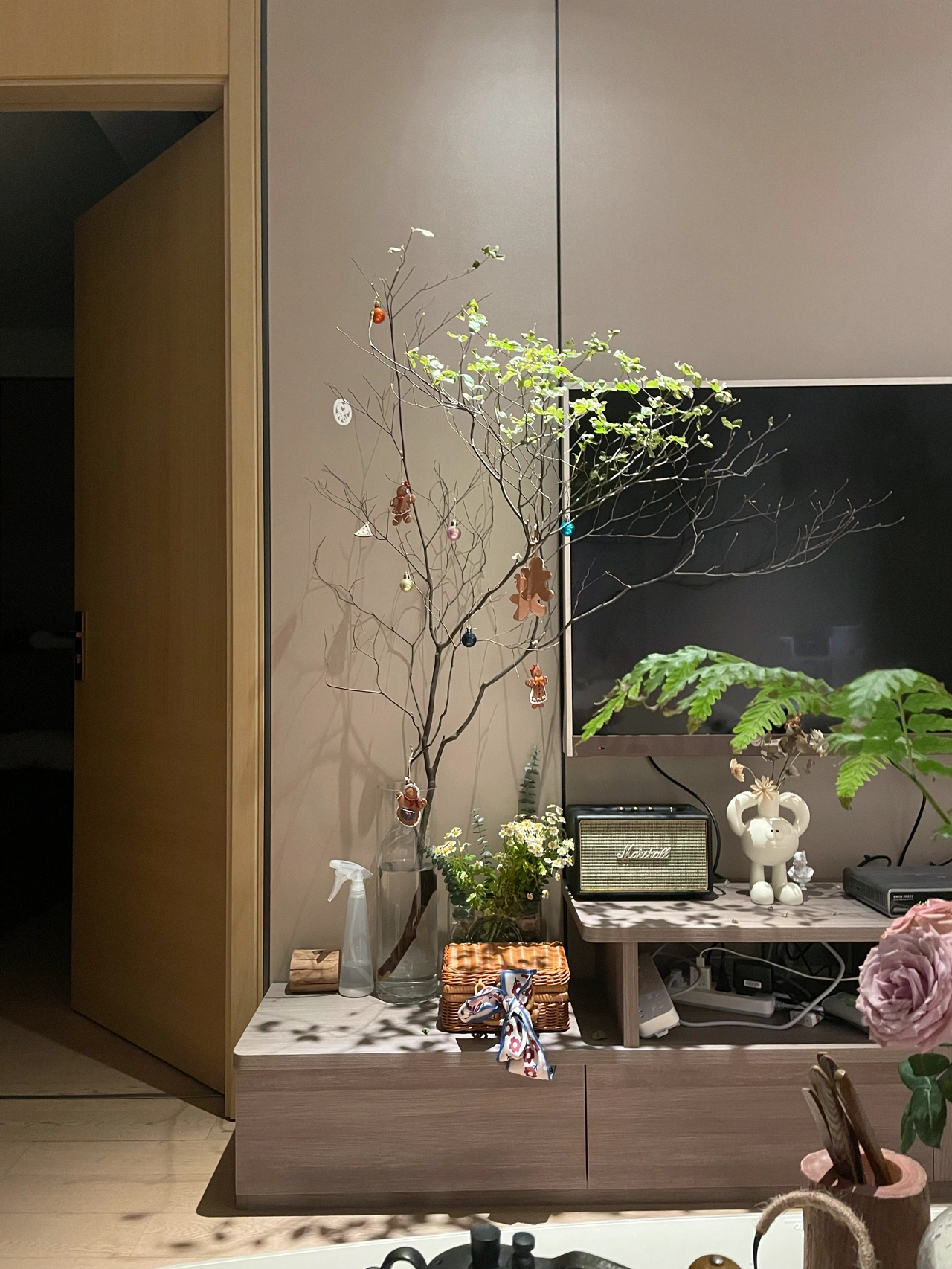鲜花插花花卉养花(养了四个月的吊钟，不再是枝繁叶茂，俨然一种“人到中年”的感觉。)-喵神素材库