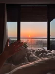 被窝夕阳手绿植(其实人生的志向很小,工作养活自己,还可以有多余的钱去旅行,能和喜欢的人在一起就很棒！ ​​ )-喵神素材库