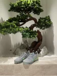 鞋柜手办盆栽穿搭(我的日常  )-喵神素材库
