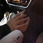 牵手情侣(我的狗手牵手 )-喵神素材库