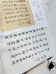 手写摘抄励志正能量文案手写文案(开始伤感｜这过去10年我到底要的是什么？努力过后想要的是什么？我变成闲不下来，操心不完的宅女。没有快乐了 )-喵神素材库