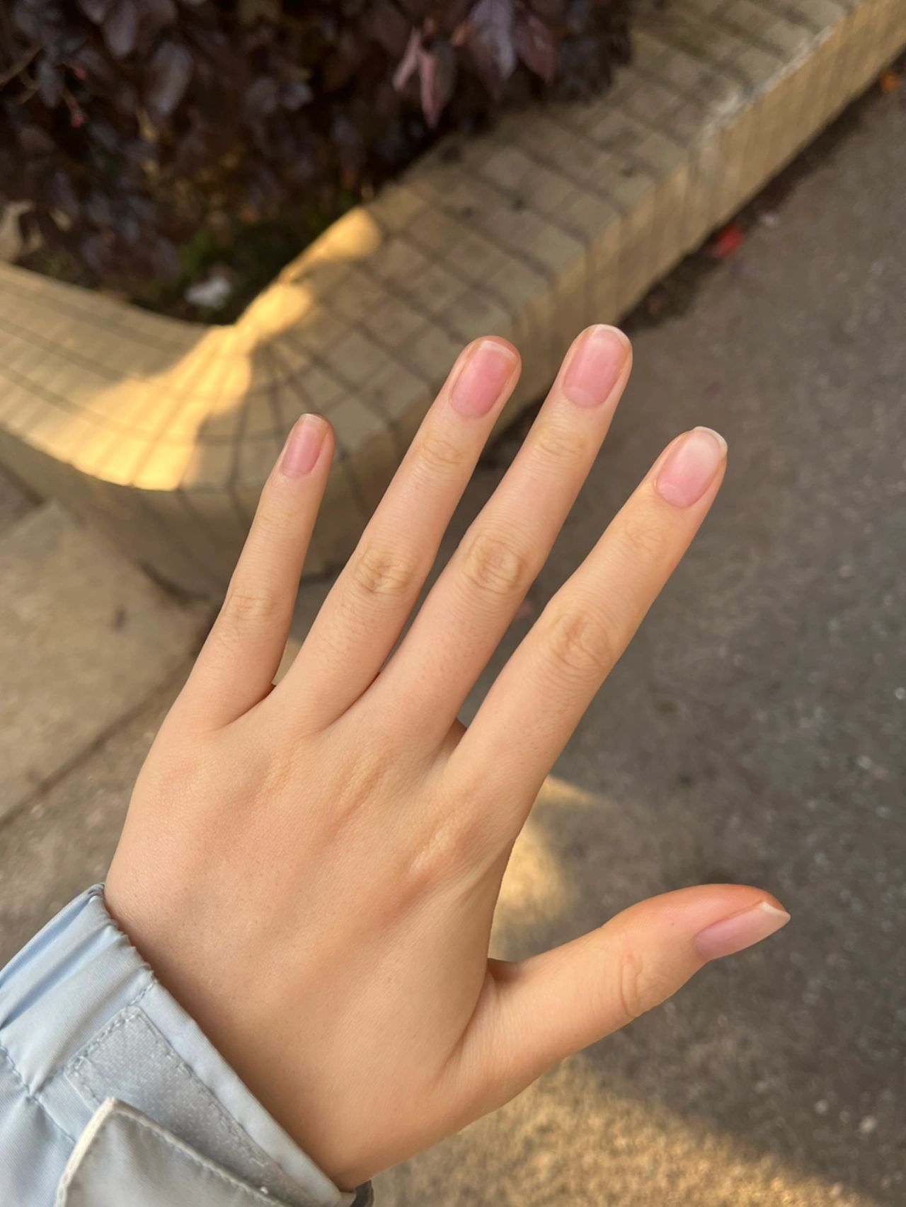 美甲手护肤日常(最心情美丽)-喵神素材库