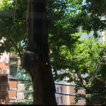 旅游风景拍照咖啡美食手机(六月心情和天气一样阴晴不定)-喵神素材库