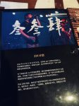 酒酒吧歌手乐器(都还不错 不过还是喜欢live house )-喵神素材库