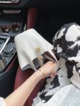 3奢侈品副驾驶阿玛施女包卡地亚手镯(\\t通勤路上， 今天轮到奶昔白菜篮子)-喵神素材库