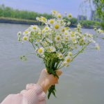 手鲜花风景(世上只有一个你，只要皱纹不长在心里，我们永远风华正茂，生活要五颜六色，不要乱七八糟” )-喵神素材库